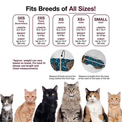 BellyGuard conjunto cirugía gato femenino: alternativa a cono para recuperación