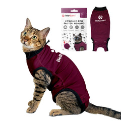 BellyGuard ropa recuperación gato: comodidad y protección para la curación