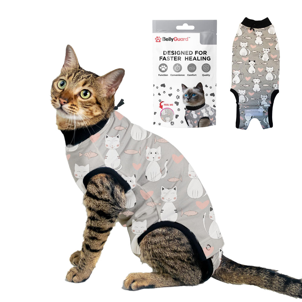 BellyGuard traje recuperación gato: ajuste cómodo para curación suave.