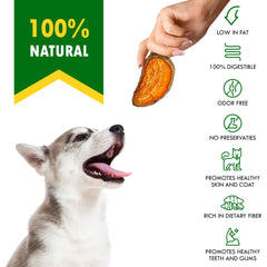 Beloved Pets Snacks patata dulce sin granos para estómagos sensibles.