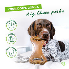 Benebone hecho en Estados Unidos, nylon resistente para mordidas intensas