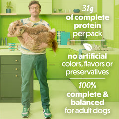 Beneful con espinacas visibles en la mezcla para perros adultos.