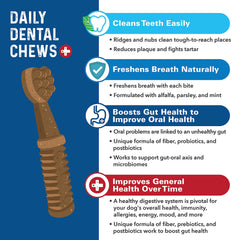 Bernie's Charming Chompers apoya la digestión con fibra y probióticos para perros