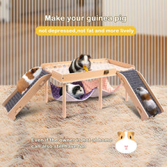 BESNEW Escaleras de cobaya — subida y bajada fáciles con almohadillas.