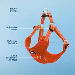Best Pet Supplies Voyager diseño ergonómico naranja para paseo cómodo
