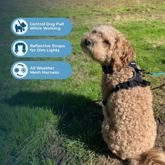 Best Pet Supplies Voyager arnés con asa para manejo cercano durante entrenamiento