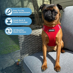 Best Pet Supplies Voyager bandas reflectantes aumentan la visibilidad