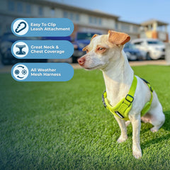 Harnais Best Pet Supplies Voyager, bandes réfléchissantes pour meilleure visibilité.