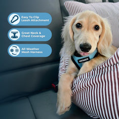 Best Pet Supplies Voyager harnais sans tirage pour liberté de mouvement.