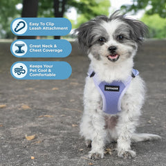 Malla transpirable Voyager mantiene a tu perro fresco