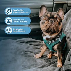 Anneaux en D doubles du harnais Best Pet Supplies pour sécurité renforcée.