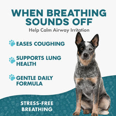 BestLife4Pets Breathe Easy: noche tranquila gracias a la respiración suave.