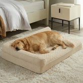 BFPETHOME cama ortopédica para perro grande, vista general y apoyo cómodo.