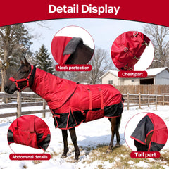 Manta BIGANTTOW para caballo con forro 220g, calor moderado para días fríos.