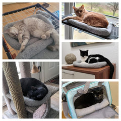 Billionchains cama para gatos con fondo antideslizante para evitar deslizamientos.