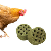 BingegePet bloques-timothy-hierba-pollo: bloques duraderos para picoteo natural.