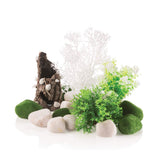 biOrb conjunto decorativo conchas sobre corteza, punto focal del acuario