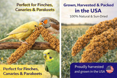 Birds LOVE mijo en aerosol de 9 oz, puntas comestibles para aves.
