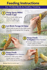 Birds LOVE mijo secado al sol, conserva sabor y nutrientes.