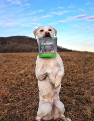 Blackwood porciones pequeñas para perros pequeños, fáciles de manejar