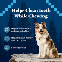 Blue Buffalo Wilderness Huesos Mini Dental, mini envase de 27 oz, ideal para perros pequeños.