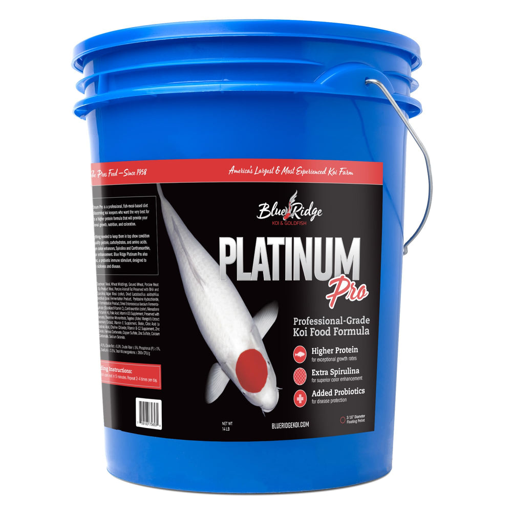 Blue Ridge Koi Alimento Platinum Pro, pellets flotantes de 14 lb, fácil de dosificar.