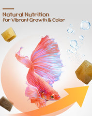 BNYEE Alimento líquido para peces: promueve colores vivos y vitalidad en peces tropicales.