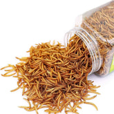 BNYEE larvas secas como alimento para reptiles, práctico y siempre disponible.