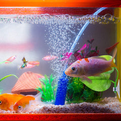 Boao Betta hamaca dentro del acuario, crea un ambiente relajante para peces