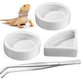 Boao cuencos para reptiles redondos de cerámica, fáciles de limpiar y duraderos