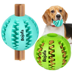Bojafa: bola premio dental para perros pequeños.