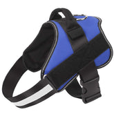 Harnais Bolux sans tirage bleu XS pour chien, réduction de traction lors des balades