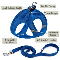BOOMIBOO arnés para perro azul XXS, fácil de colocar para salidas rápidas.