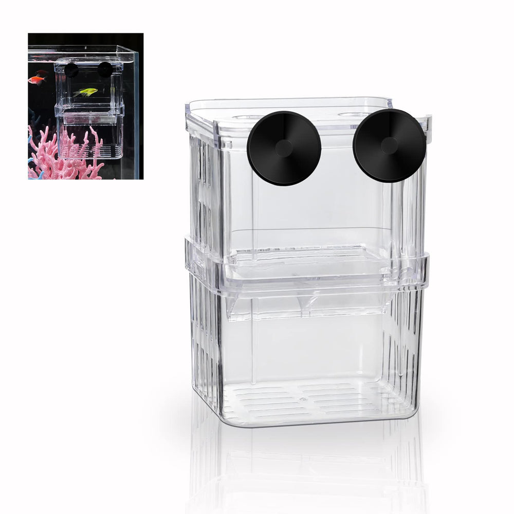 Caja criadora BoxTech para acuario facilita observar alevines sin perturbarlos.