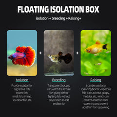 Divisor de aislamiento BoxTech para acuario separa peces agresivos de forma segura.