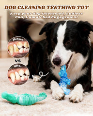 BoYoYo sabor ternera, mordedor atractivo para perros grandes.
