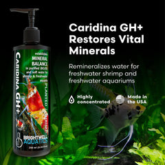 Brightwell Caridina GH+ favorece plantas y gambas al equilibrar minerales.