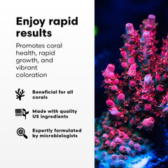 Aplicación de Coral Inertia NRG+ para dosificación precisa en acuario de corales.