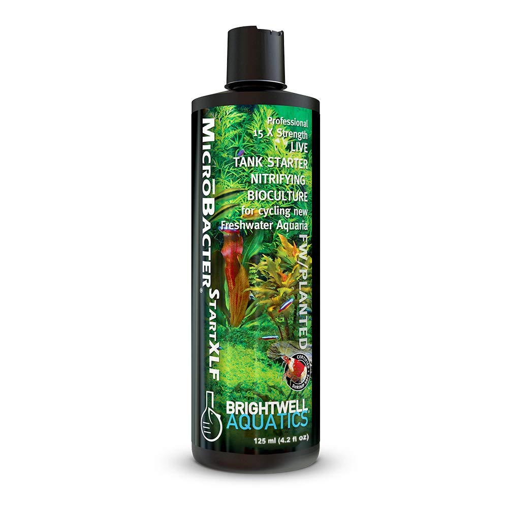 Brightwell Aquatics MicroBacter Start XLF bottle pour to start tank cycling