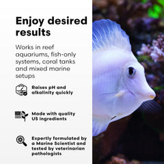Brightwell Aquatics pH+ estabilidad-ph-rif-125ml ayuda a estabilizar el pH en arrecifes.