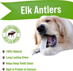 Buck Bone Organics masticación natural de asta de ciervo para higiene dental.