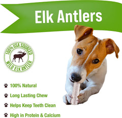 Buck Bone Organics, paquete de 3 astas de ciervo para masticar.