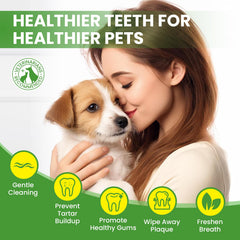 BuddyCheer: aliento más fresco tras la limpieza dental rápida para mascotas