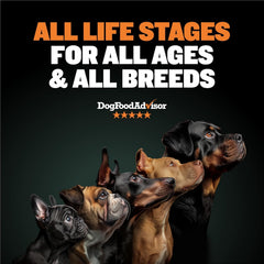 Bully Max alimento para perros, alta proteína para músculos y energía.