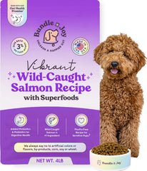 Bundle x Joy: salmón real y probióticos en croquetas secas para perros.