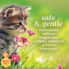 BURT'S BEES FOR PETS: limpieza sin agua para retoques diarios