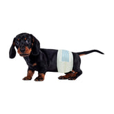 BV Dog Diapers para perro macho pequeño con 50 unidades y ajuste cómodo.