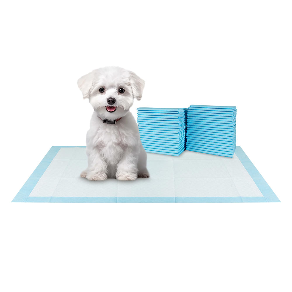 Tapetes BV para perros, paquete de 100, ideal para entrenamiento diario y respaldo en casa.