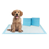 BV XXL Puppy Pads con absorción de 6 capas para proteger suelos