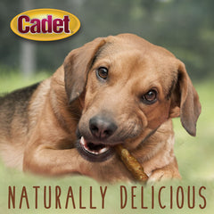 Cadet Gourmet Sin colorantes artificiales: opción natural para perros.